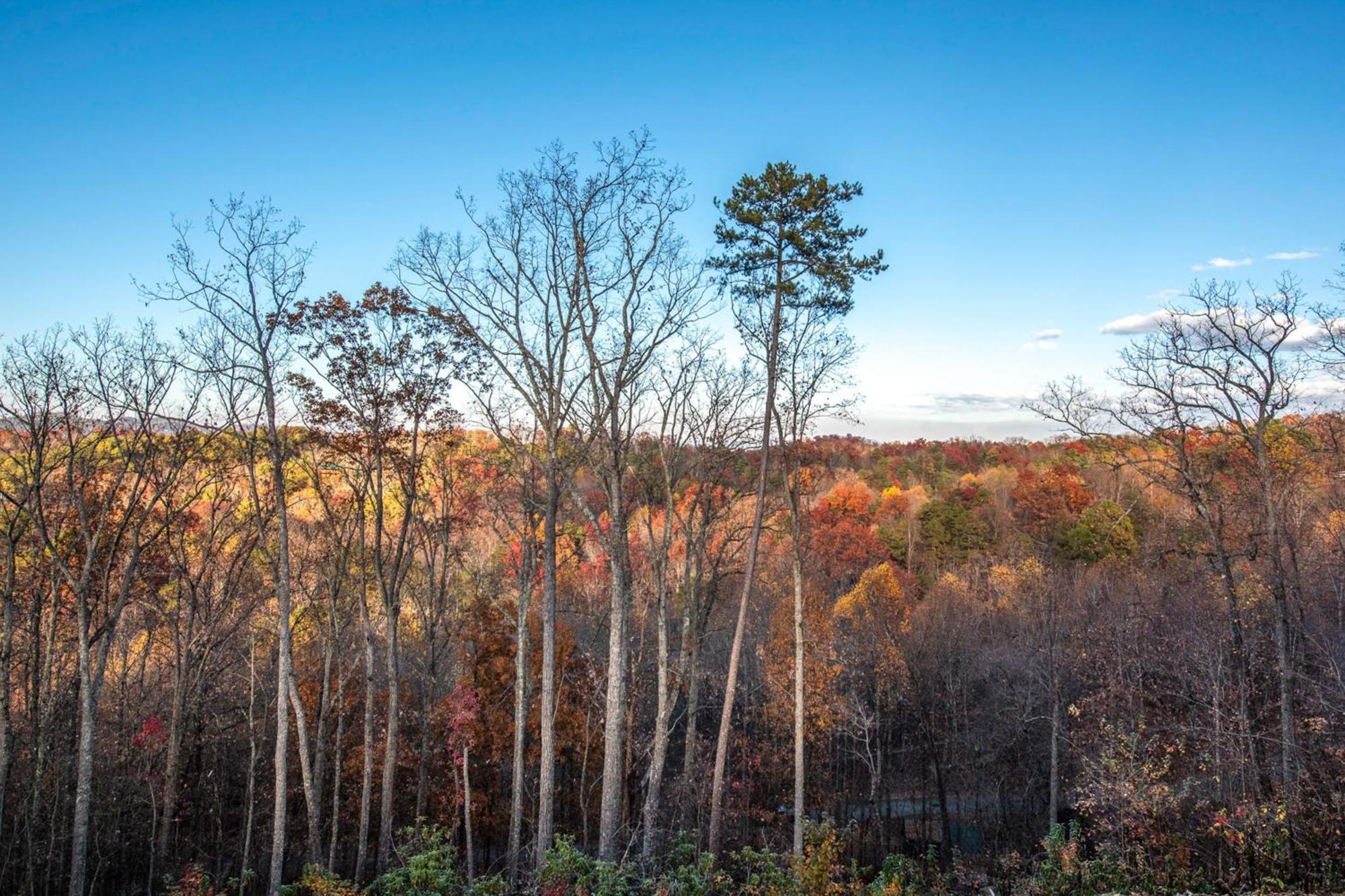 The Treetop Sanctuary Villa Sevierville Kültér fotó